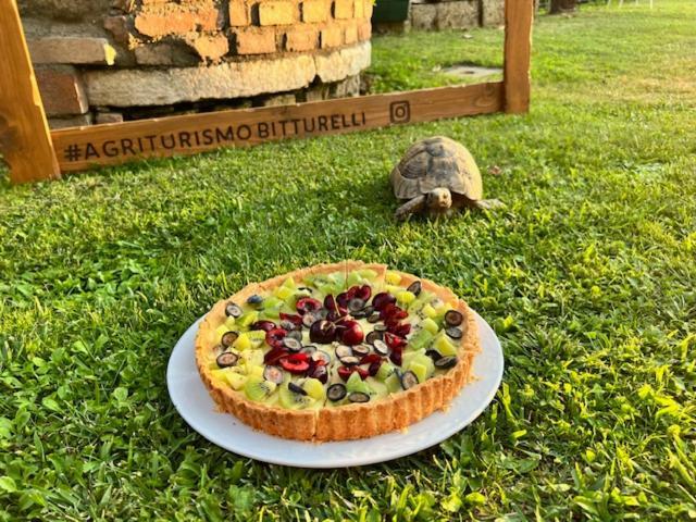 Agriturismo Bitturelli 庞蒂索明西奥 外观 照片