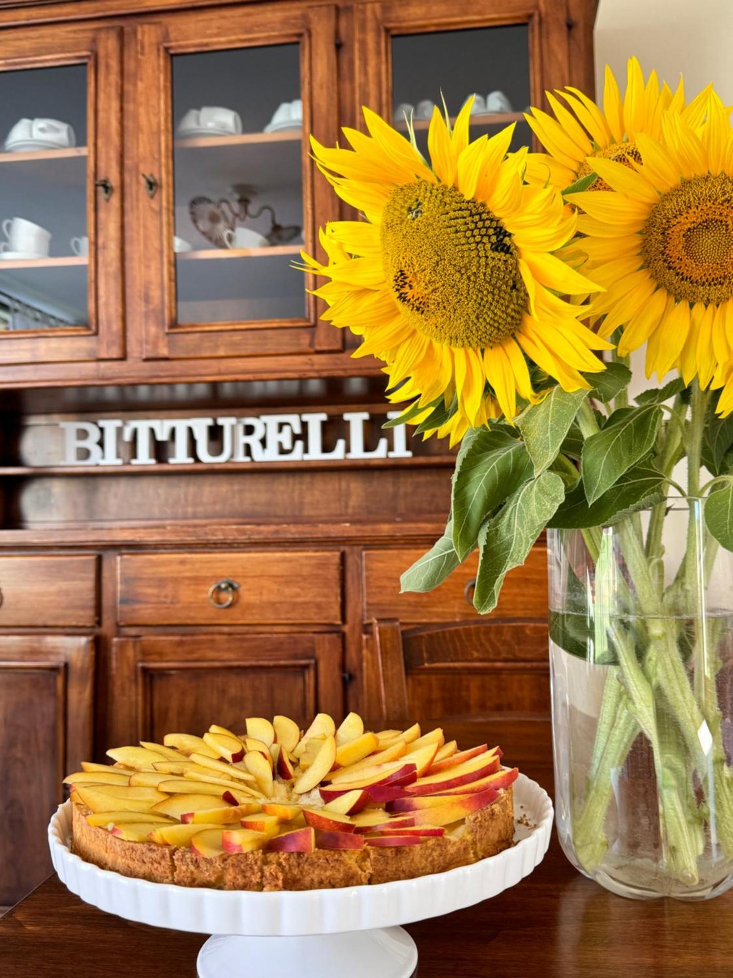 Agriturismo Bitturelli 庞蒂索明西奥 外观 照片